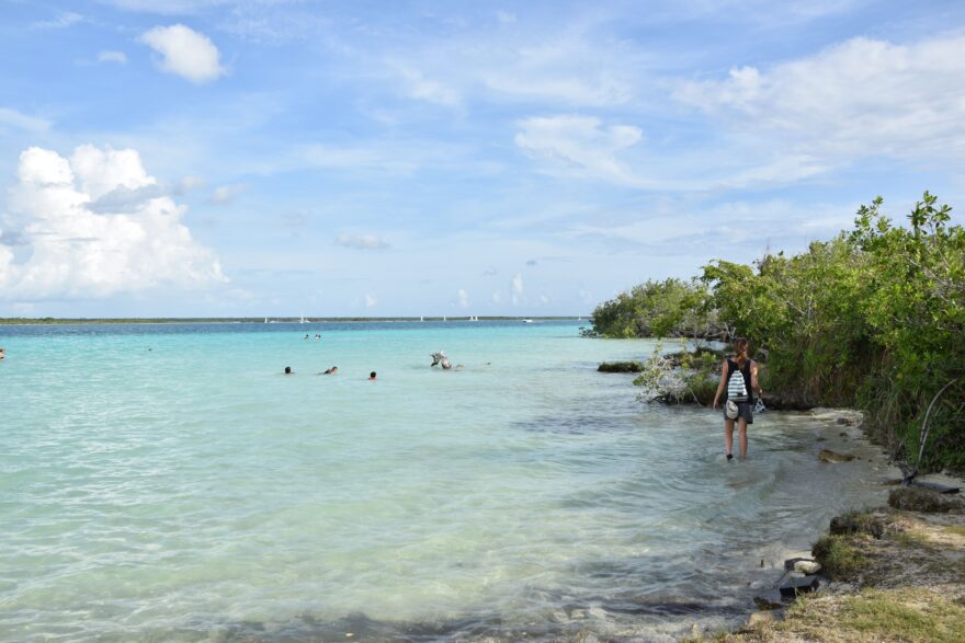 Lagunu Bacalar lemují kořeny mangrovníků