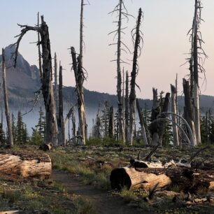 Jana Račanová: PCT aneb procházka americkou divočinou