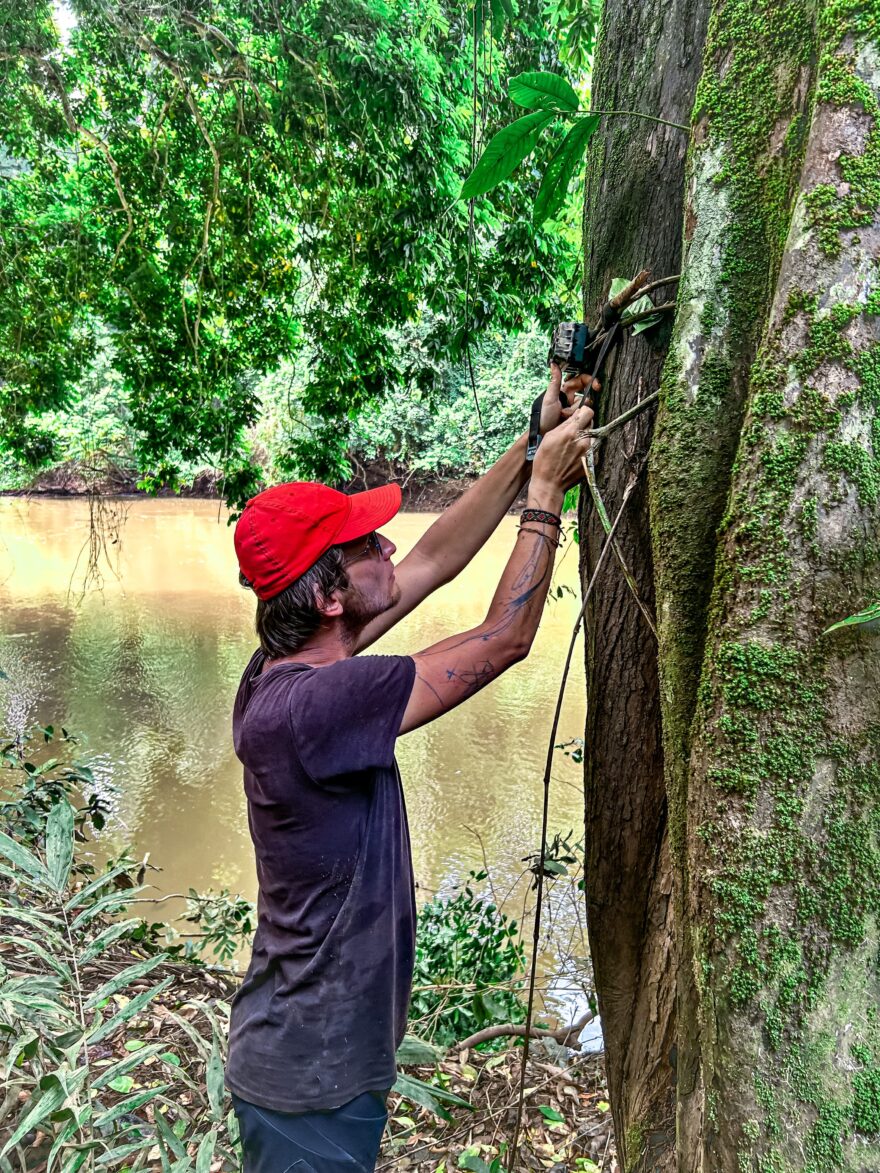 Proces instalace fotopastí na břehu řeky, kde se vyskytují vzácné druhy ohrožených zvířat