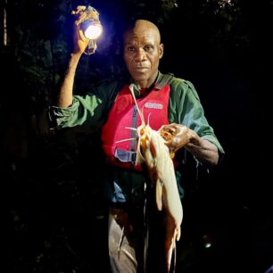 Je libo čerstvý sumec k večeři?