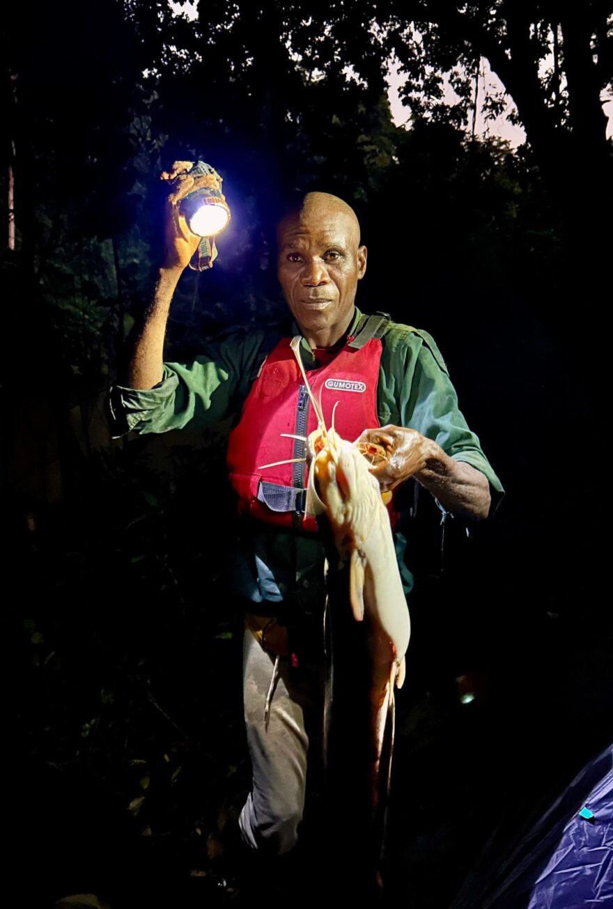 Je libo čerstvý sumec k večeři?