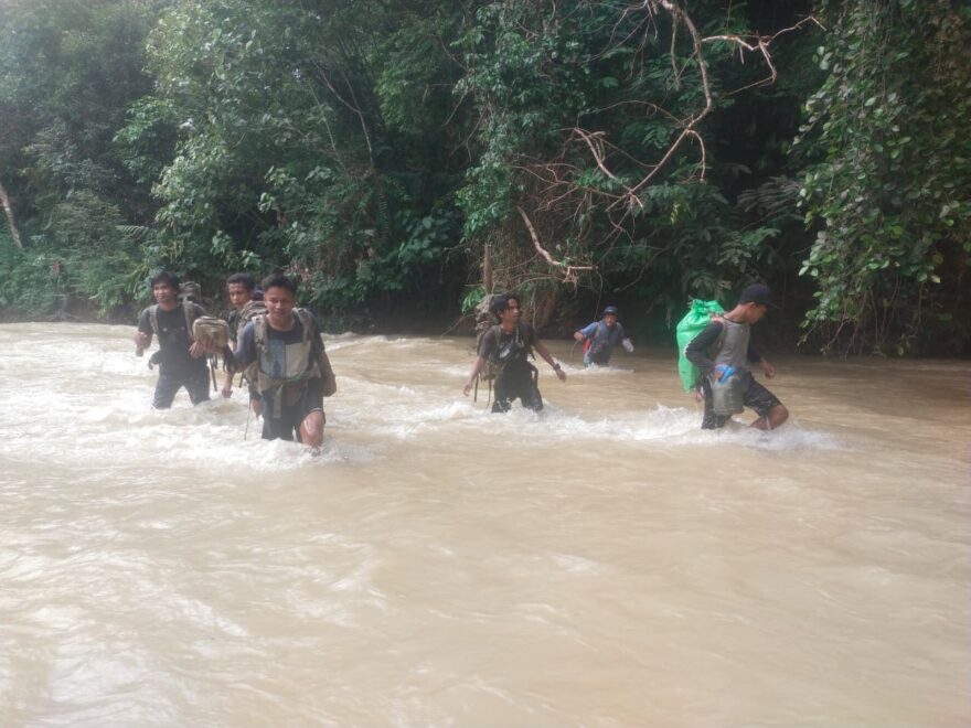 Protipytlácká hlídka Green Patrol monitoruje tygry sumaterské a odhaluje pytláctví ve spolupráci s rangery z NP Gunung Leuser