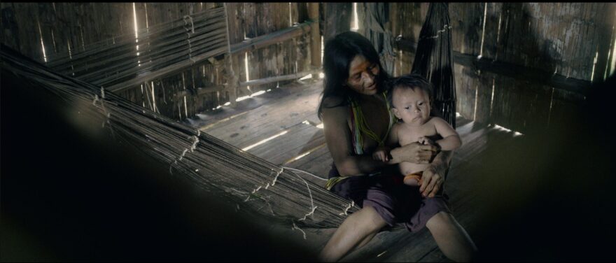 Budování svého vlastního kmene je to nejdůležitější