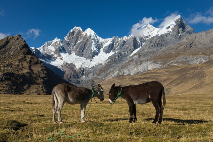 LUKÁŠ SYNEK: Nejkrásnější treky Peru 