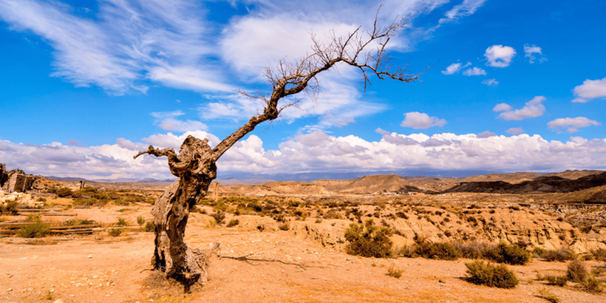 Tabernas – jediné skutečně suché území na kontinentu.