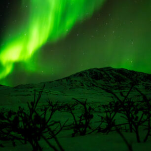 JIŘÍ KALÁT a PAVEL STEJSKAL: Arctic Circle Trail v létě i v zimě