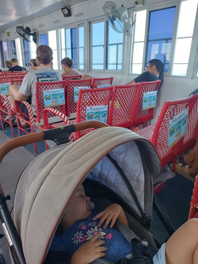 VĚRKA ŠUSTÁČKOVÁ - Jak zvládnout exotiku s dětmi