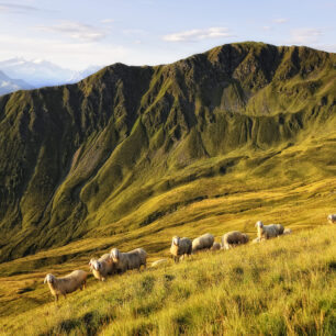 Seven Summits of Saalbach Hinterglemm