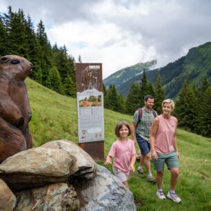Wildlife Trail – Objevte tajemství alpské divočiny!