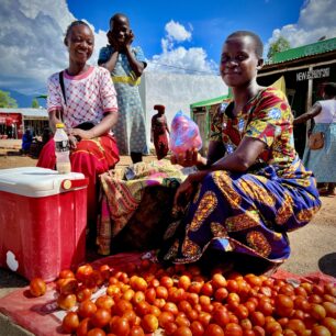 Rajčata se Svahilsky řeknou “nyanya”, vyslovíte to [ňaňa]. Mám je na jídelníčku každý den, každé jídlo