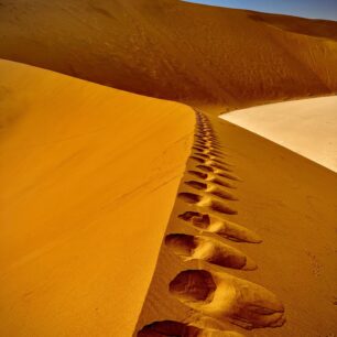 Vejšlap na vrchol písečné duny Big Daddy. Se svými 325 metry je to jedna z největších písečných dun v Africe.