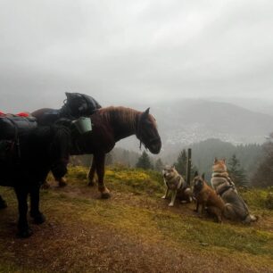 Zítra překročíme francouzko-německé hranice a jsme tak o krok blíž k našemu imaginárnímu cíli. Imaginárnímu, protože primární “cíl” je každý další den strávený v nekomfortu na cestě, rozšiřování našich možností a schopností se adaptovat na situace které přicházejí každý den, ne nějaké dosažené místo na mapě.