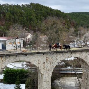 Nachodíme kolem 100 km za týden, což není žádná velká zátěž ani pro koně, ani pro psy.