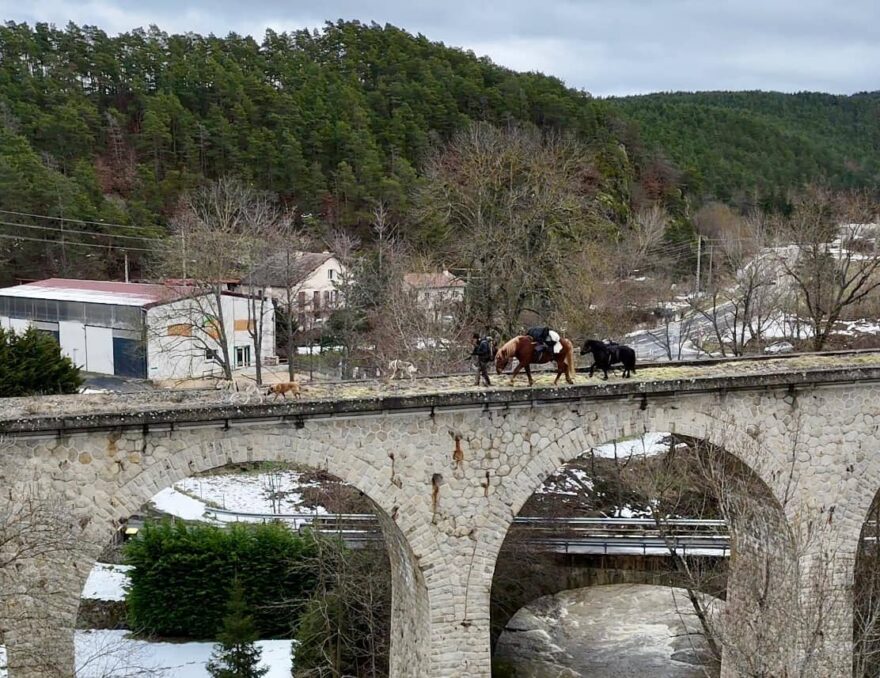 Nachodíme kolem 100 km za týden, což není žádná velká zátěž ani pro koně, ani pro psy.