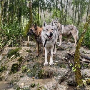 Ještě pořád žijeme
