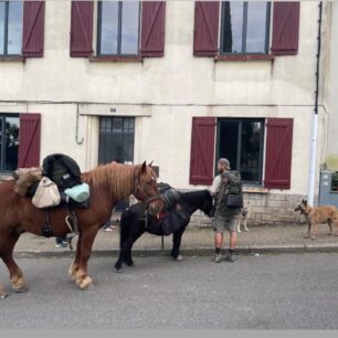 Musel jsem zredukovat váhu na Goliášových zádech, kde jsem mu našel otlačeninu.