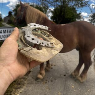 Silikonová duplo podkova, 1000km rovných