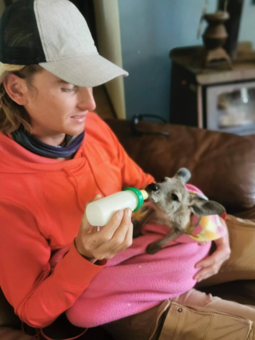 Péče o klokany v Australské zachrané stanici.