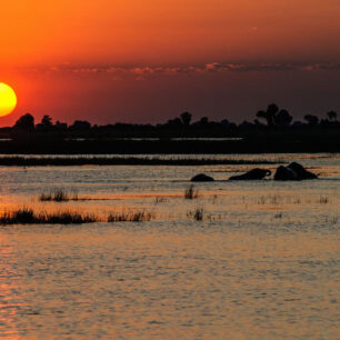 Viktoriiny vodopády Kraj hřmících vod, slonů a travnatých savan