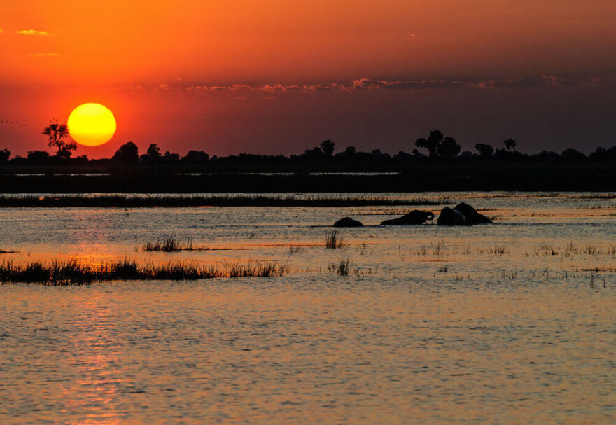 Viktoriiny vodopády Kraj hřmících vod, slonů a travnatých savan