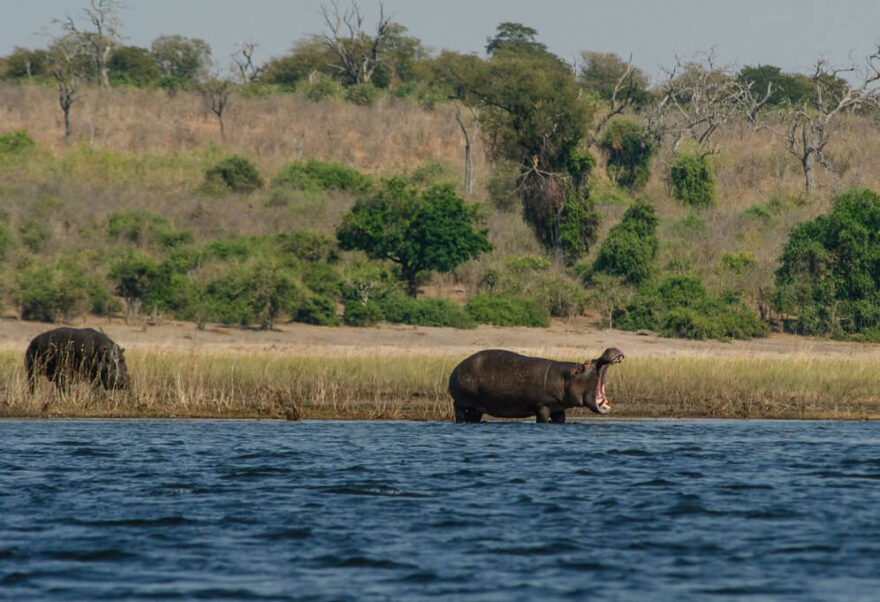 Viktoriiny vodopády Kraj hřmících vod, slonů a travnatých savan