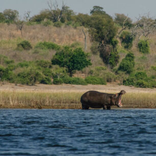 Viktoriiny vodopády Kraj hřmících vod, slonů a travnatých savan