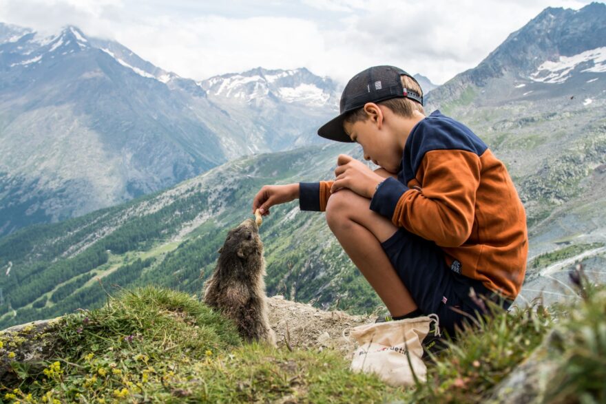Marmot Path Play Floor. Foto: Puzzle media | Saas-Fee/Saastal