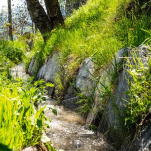 Mouth, Suonen. Foto: Switzerland Tourism