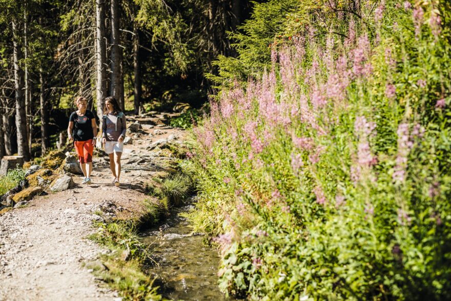 Nendaz. Foto: Switzerland Tourism