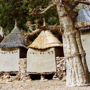 Africké baobaby: příbytky božstev a objekty kultického uctívání
