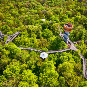 Schönstedt: Národní park Hainich © DZT/Jens Wegener