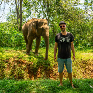 Na Srí Lance potkáte divoké slony na každém kroku.