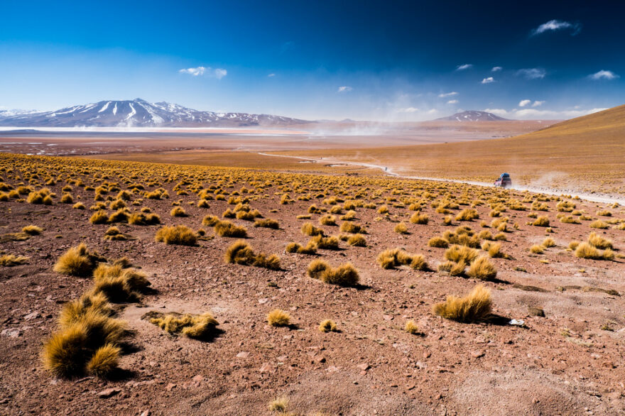 Bolívie-Barevným Altiplanem