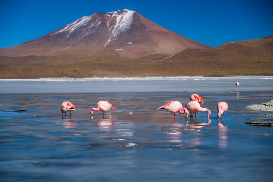 Bolívie-Barevným Altiplanem