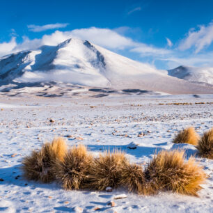 Bolívie-Barevným Altiplanem