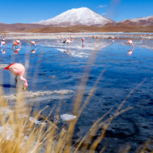 Bolívie-Barevným Altiplanem