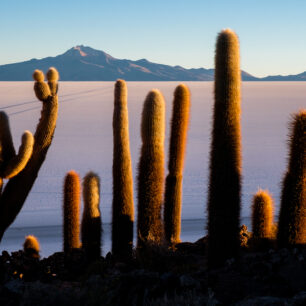 Bolívie-Barevným Altiplanem