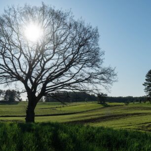 Jaro je jedno ze čtyř ročních období, kdy sem můžete zavítat