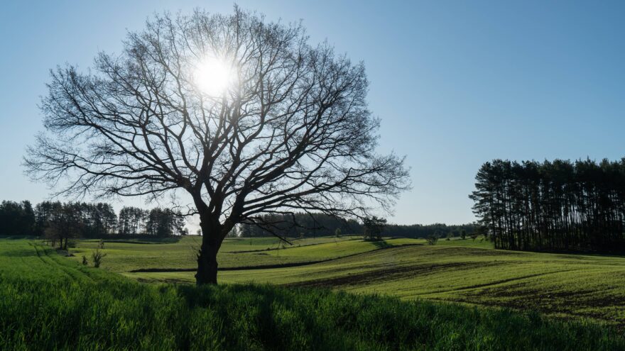 Jaro je jedno ze čtyř ročních období, kdy sem můžete zavítat
