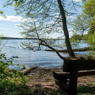Jedna z mnoha pláží ledovcového jezera Hańcza