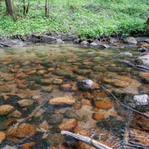 Koryto řeky Czarna Hańcza je poseto bludnými balvany