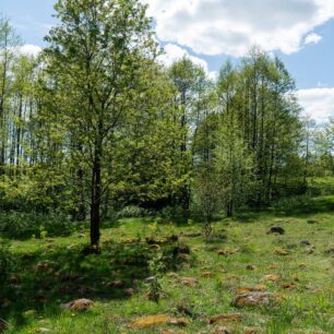 Louky s bludnými balvany