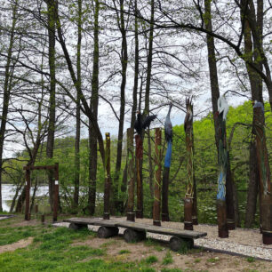 Ptáci tu vládnou vzduchu i dřevu