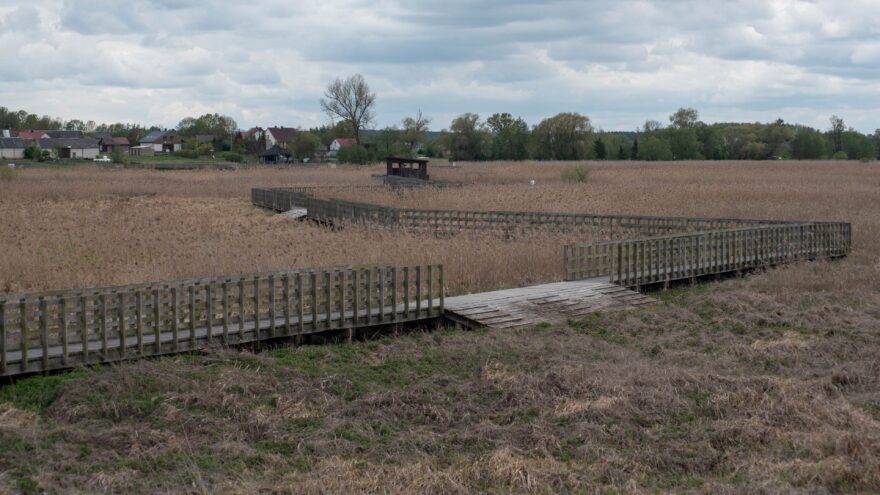 Dřevěné lávky jsou jedinou cestou, jak se suchou nohou dostat do srdce vodního labyrintu Narewu