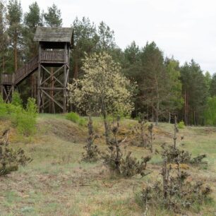 Hlavně tiše a skrytě, jen tak lze pozorovat divočinu