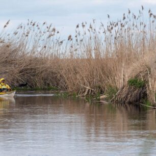 Každé pádlo vás přiblíží do srdce Polské Amazonie