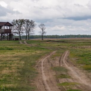 Pohled do nekonečna. Vyhlídkové věže jsou klíčem k pochopení skutečné rozlehlosti a měřítka biebrzanských mokřadů