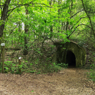 Pozůstatky opevnění se stávají hnízdištěm netopýrů