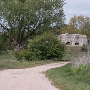 Pozůstatky pevnosti Osowiec