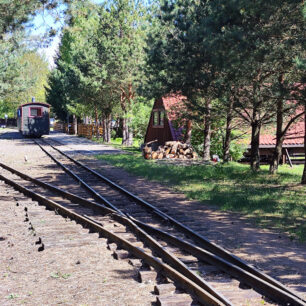 Historická úzkokolejka na své cestě lesem. Nostalgická jízda zpátky v čase